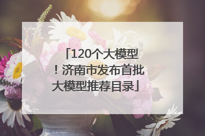 120个大模型！济南市发布首批大模型推荐目录
