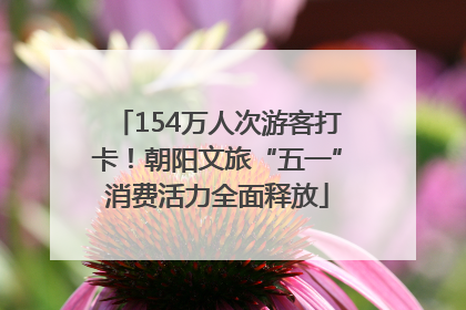 154万人次游客打卡！朝阳文旅“五一”消费活力全面释放