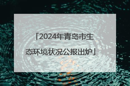 2024年青岛市生态环境状况公报出炉