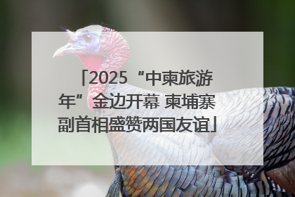 2025“中柬旅游年”金边开幕 柬埔寨副首相盛赞两国友谊