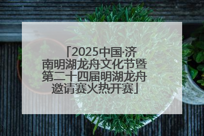 2025中国·济南明湖龙舟文化节暨第二十四届明湖龙舟邀请赛火热开赛