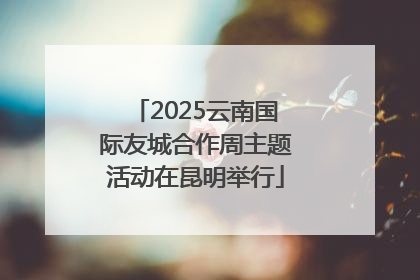 2025云南国际友城合作周主题活动在昆明举行