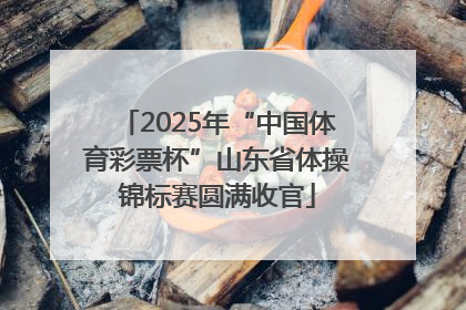 2025年“中国体育彩票杯”山东省体操锦标赛圆满收官
