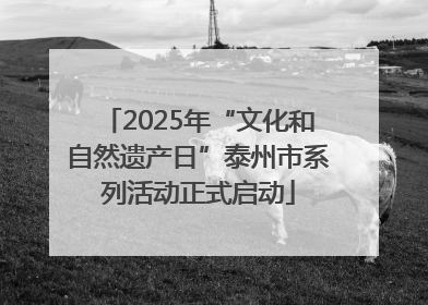 2025年“文化和自然遗产日”泰州市系列活动正式启动
