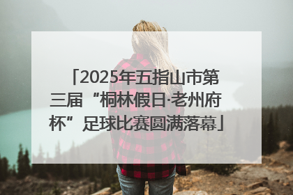 2025年五指山市第三届“桐林假日·老州府杯”足球比赛圆满落幕