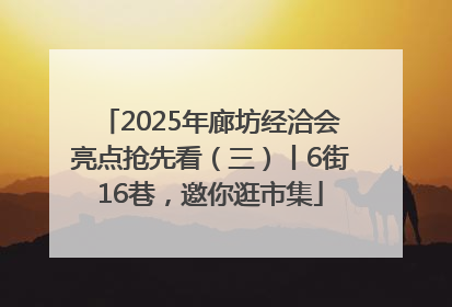 2025年廊坊经洽会亮点抢先看（三）丨6街16巷，邀你逛市集