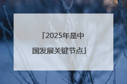 2025年是中国发展关键节点