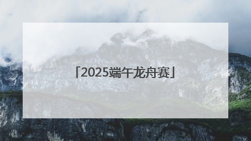 2025端午龙舟赛