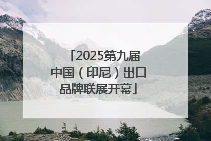 2025第九届中国（印尼）出口品牌联展开幕