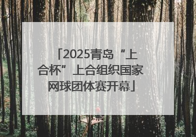 2025青岛“上合杯”上合组织国家网球团体赛开幕