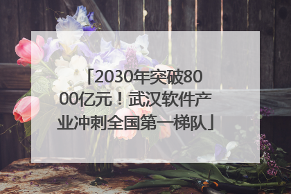 2030年突破8000亿元！武汉软件产业冲刺全国第一梯队