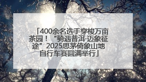400余名选手穿梭万亩茶园！“骑遇普洱·迈象征途”2025思茅倚象山地自行车赛圆满举行