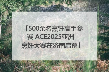 500余名烹饪高手参赛 ACE2025亚洲烹饪大赛在济南启幕