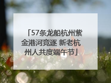 57条龙船杭州紫金港河竞逐 新老杭州人共度端午节