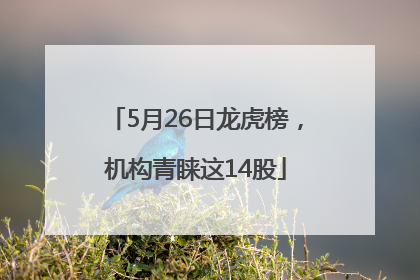 5月26日龙虎榜，机构青睐这14股
