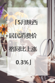 5月陕西居民消费价格同比上涨0.3%