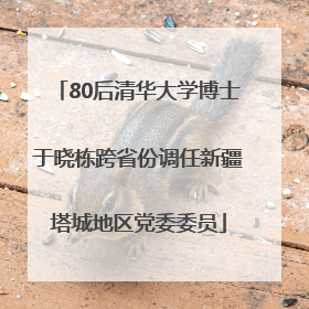 80后清华大学博士于晓栋跨省份调任新疆塔城地区党委委员
