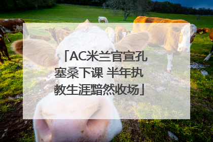 AC米兰官宣孔塞桑下课 半年执教生涯黯然收场