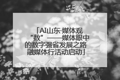 AI山东·媒体观“数”——媒体眼中的数字强省发展之路融媒体行活动启动