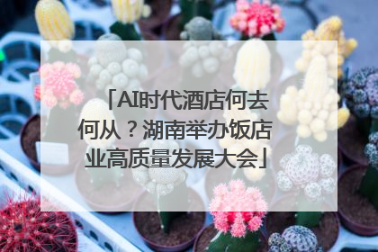AI时代酒店何去何从？湖南举办饭店业高质量发展大会