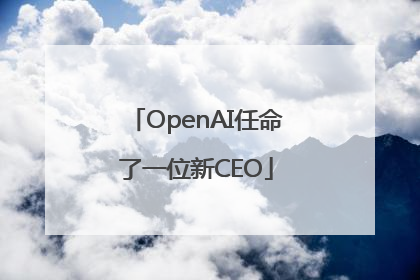 OpenAI任命了一位新CEO