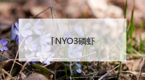 NYO3磷虾油复配新品全球同频发布，定义美肤新范式！