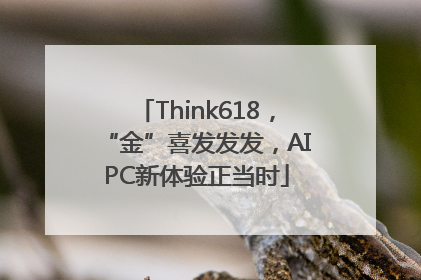 Think618，“金”喜发发发，AIPC新体验正当时